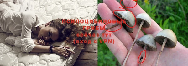 мяу мяу кристалл Вяземский