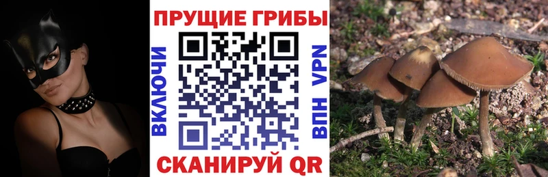 Галлюциногенные грибы мицелий  Купить закладки  Клинцы 